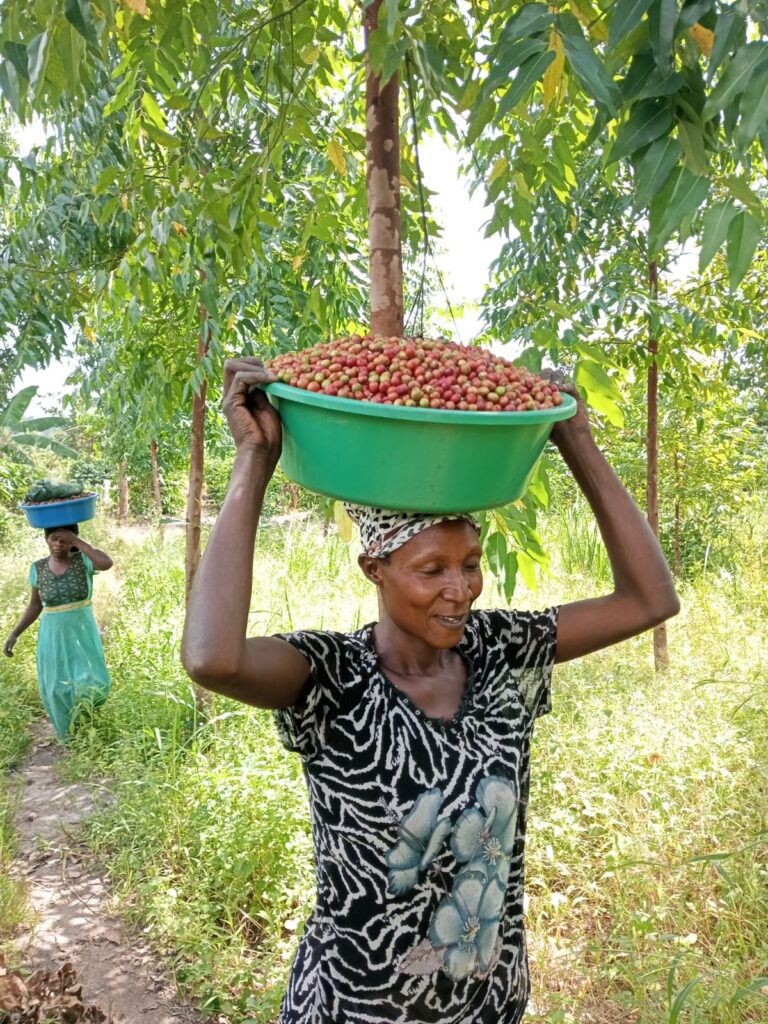 Bwami Coffee Employees